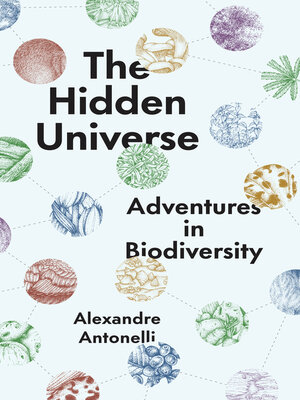 cover image of The Hidden Universe